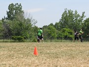 OTFL Gallery Image